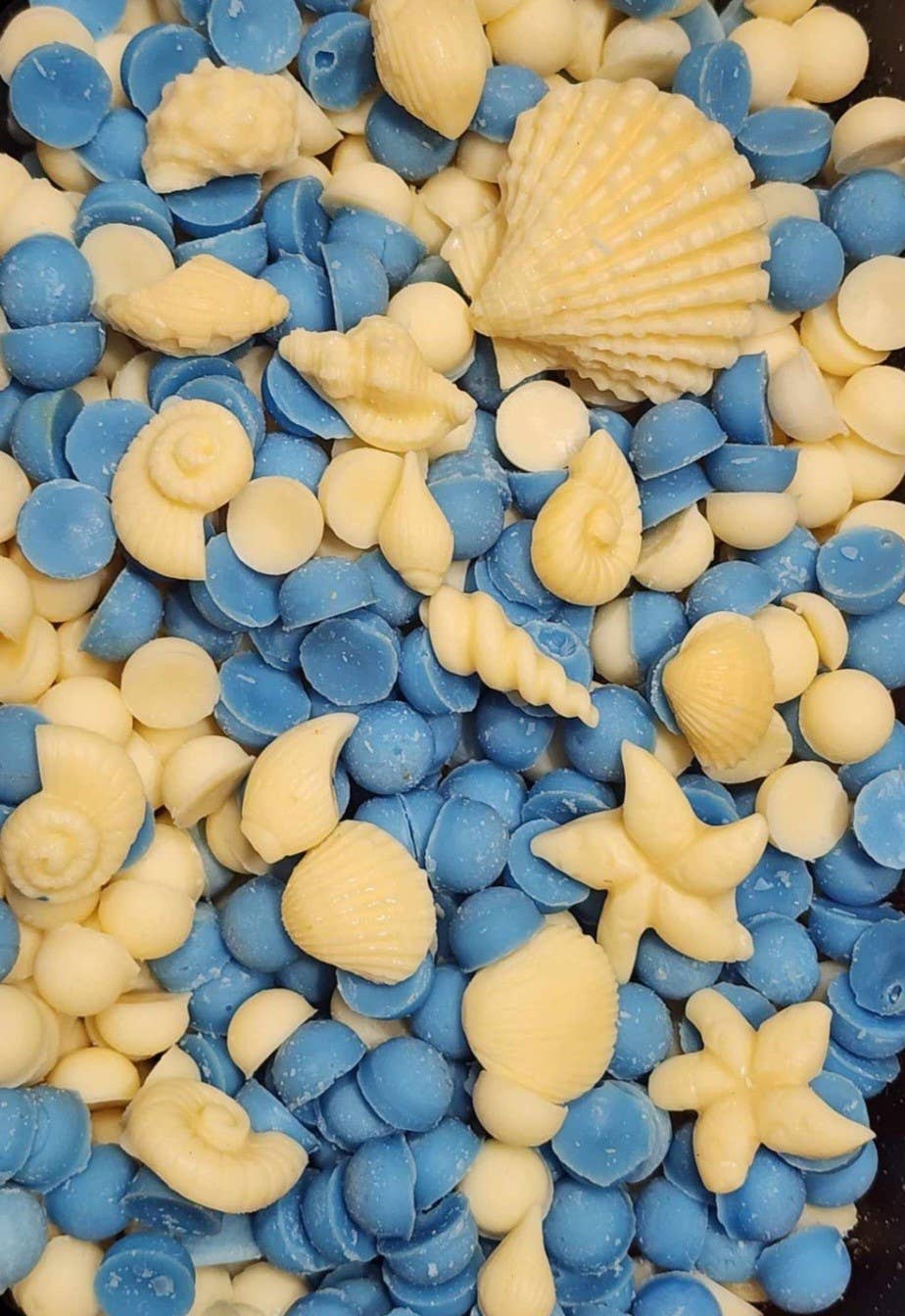 Beach Bum Wax Melt