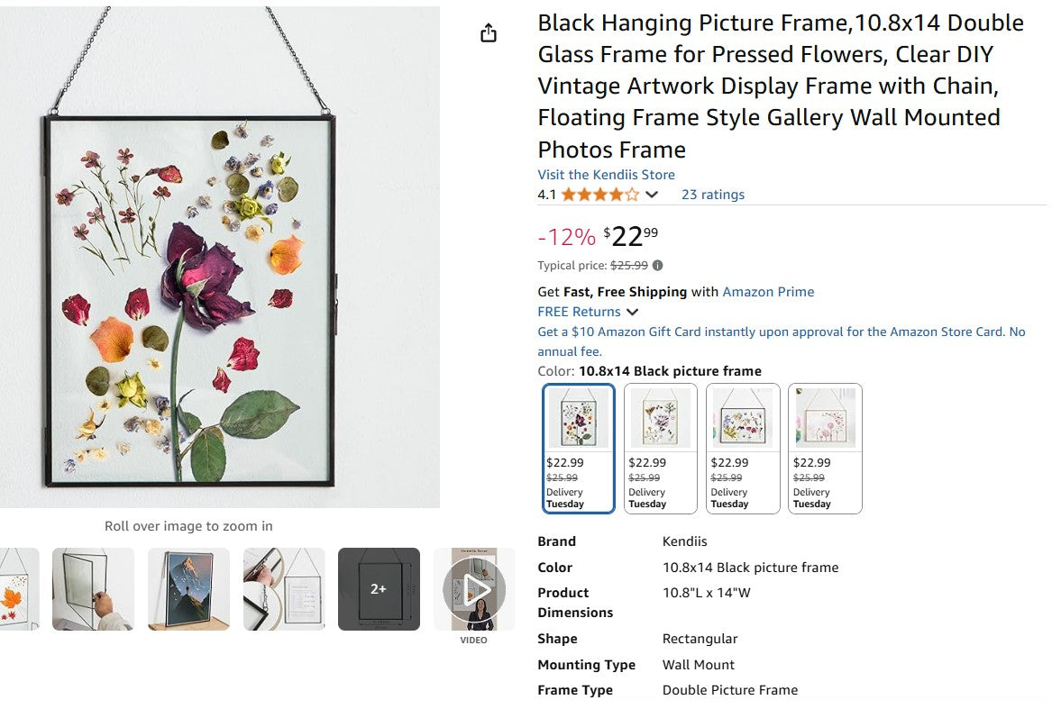 Black Hanging Picture Frame,10.8x14 Double Glass Frame for Pressed Flowers