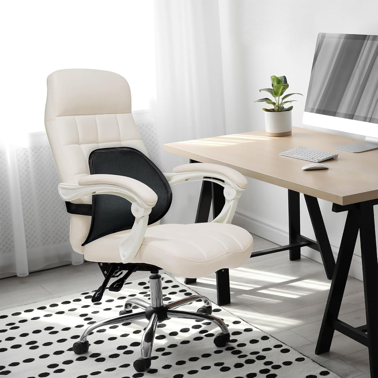 Lumbar Support Back Support for Office Chair