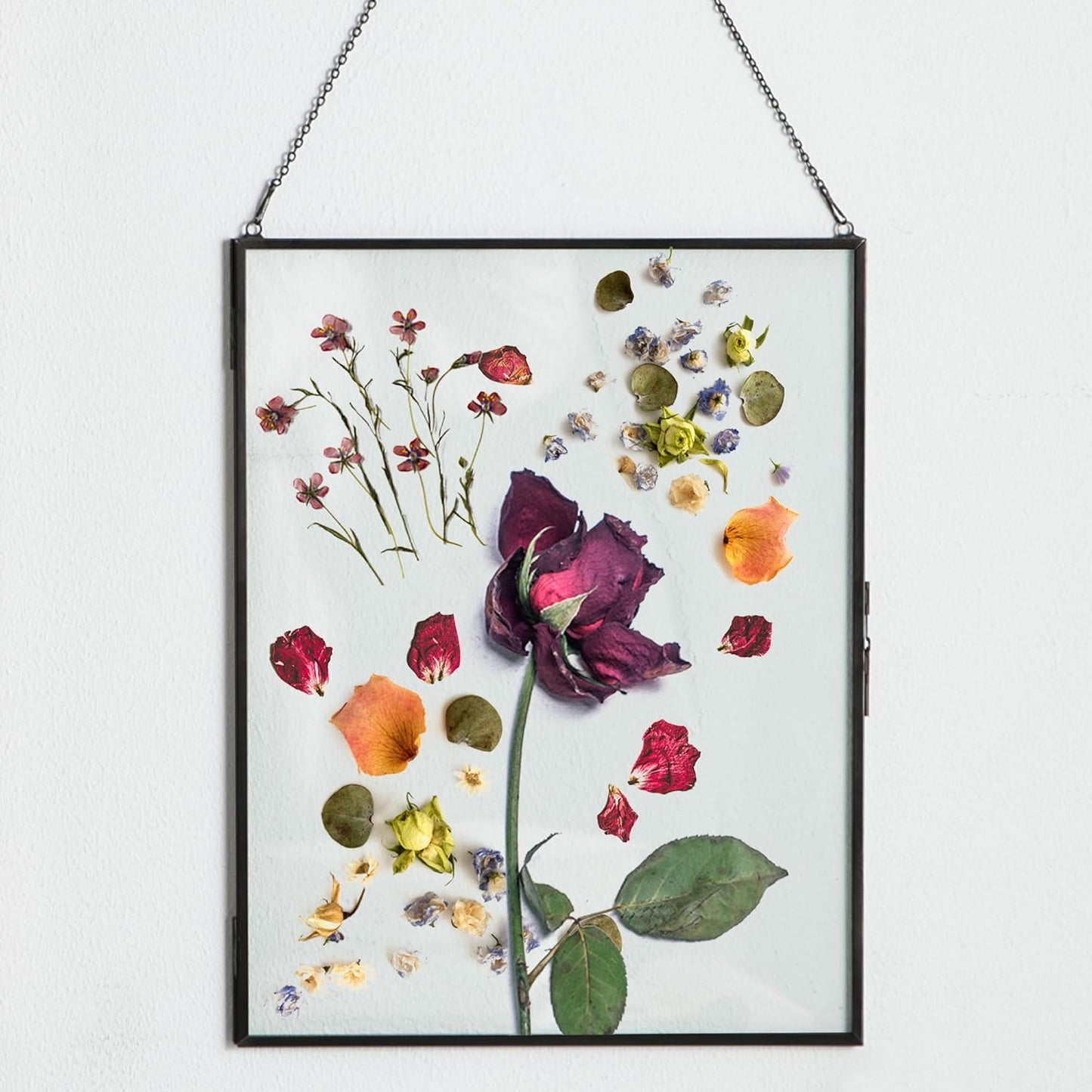 Black Hanging Picture Frame,10.8x14 Double Glass Frame for Pressed Flowers