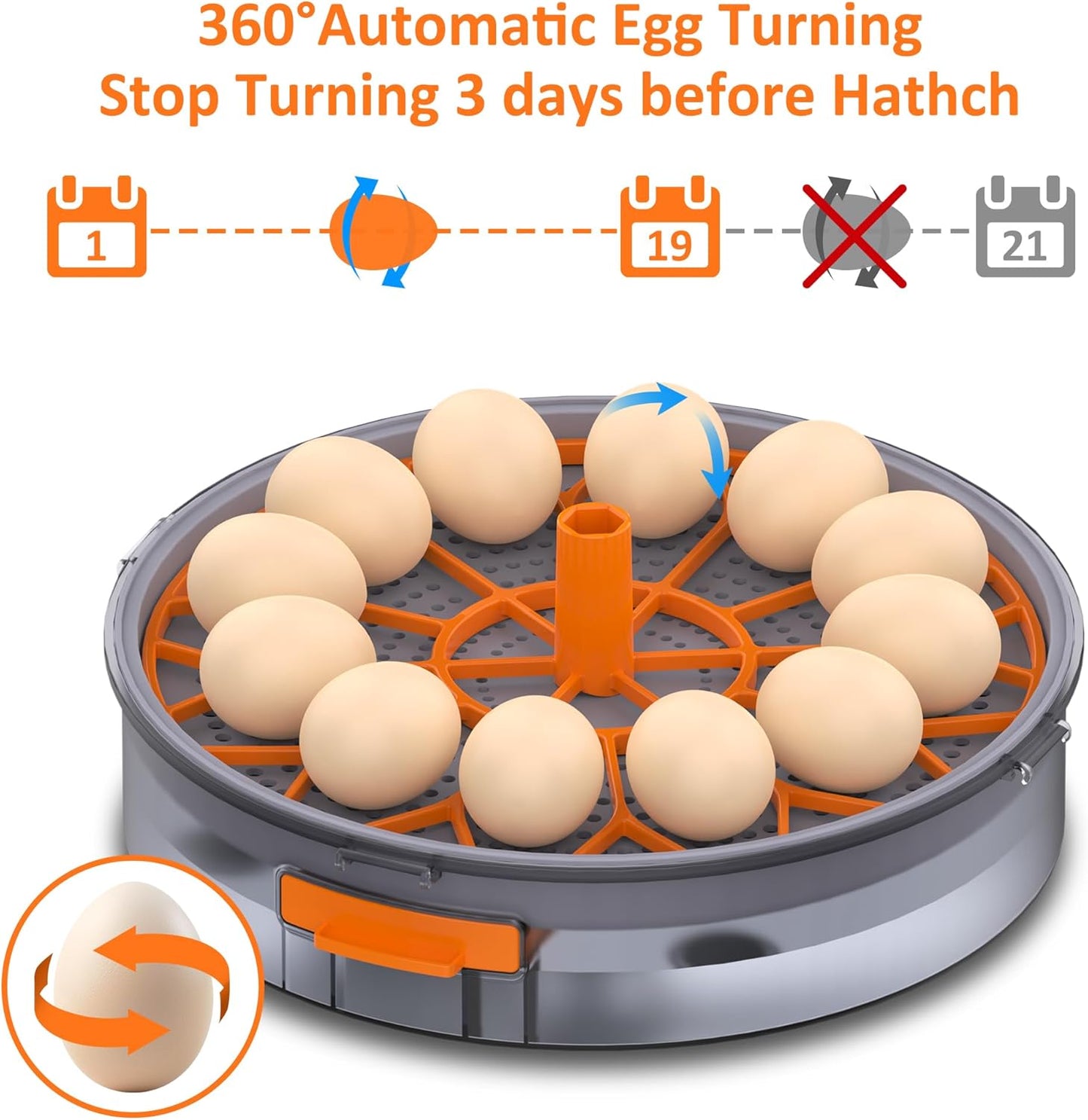 Egg Incubator with Automatic Egg Turning and Humidity Control