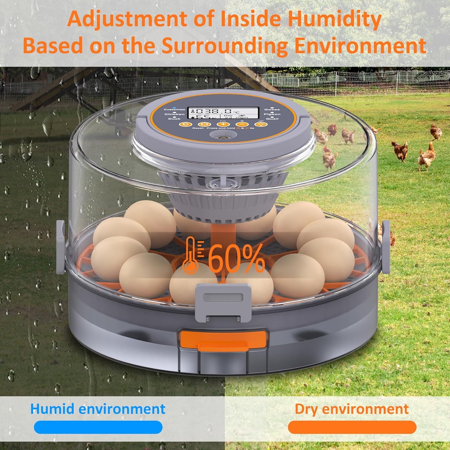 Egg Incubator with Automatic Egg Turning and Humidity Control