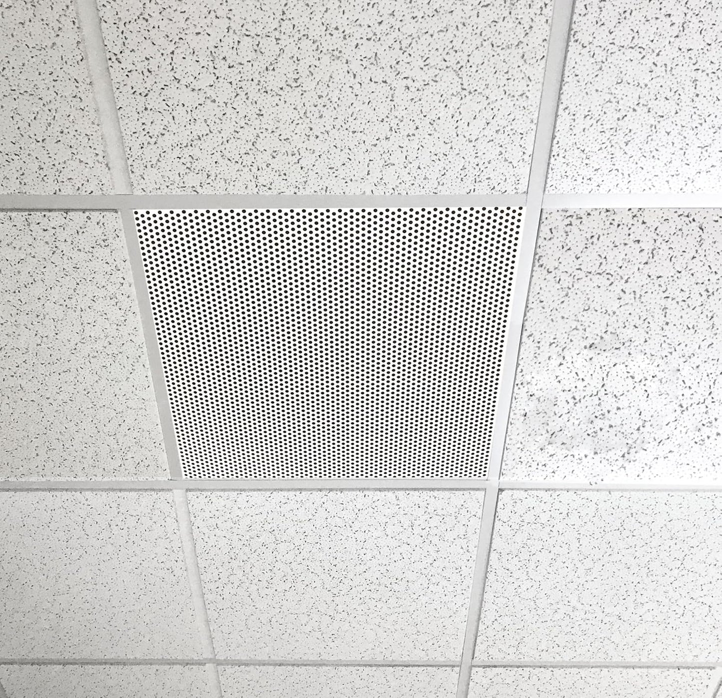 2'x2' White Plastic Perforated Tile with 3/8" Holes (4-Pack)